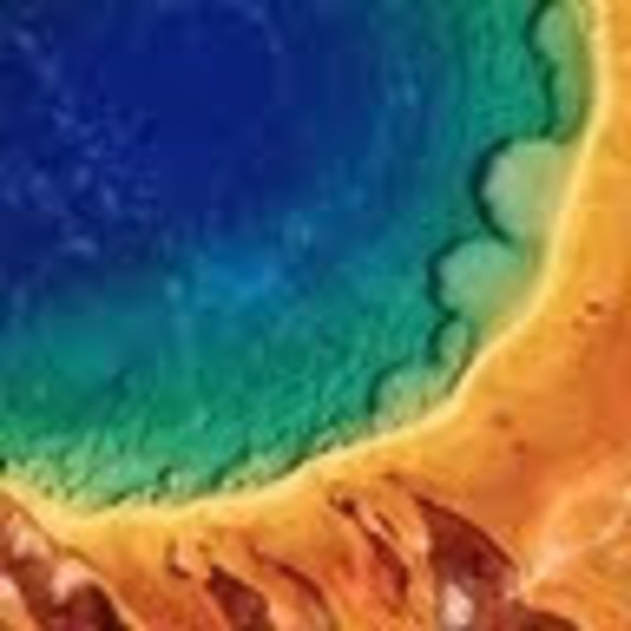 Meet your Posher, Jessie - Picture 1 of 1